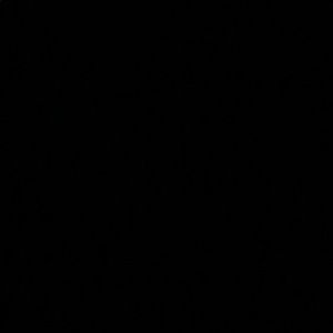 Meet your Posher, Francesca